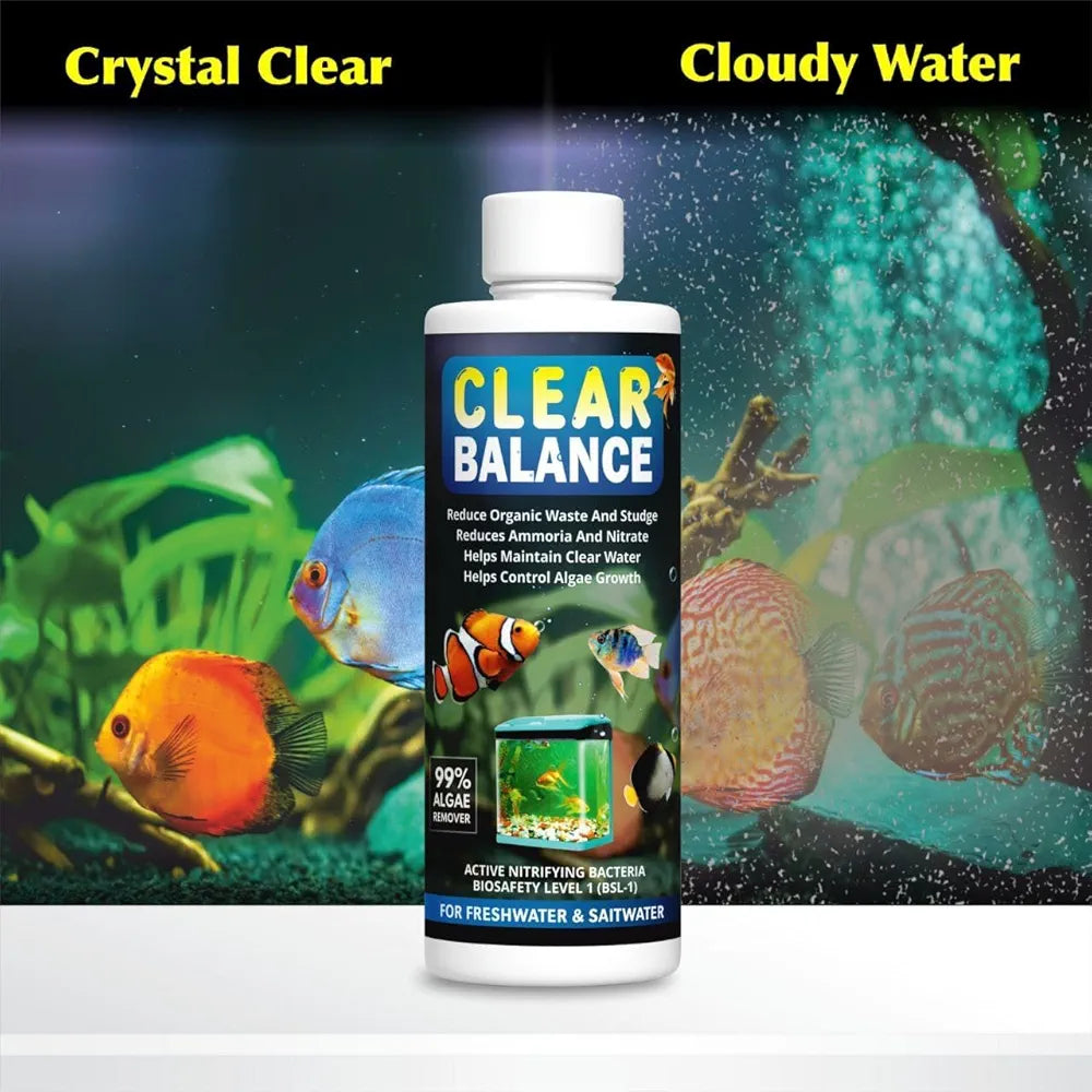 Fish Tank Algae Remover | Pond Algaecide & Moss Cleaner | Removes Green Algae, Improves Water Clarity & Maintains Healthy Aquarium