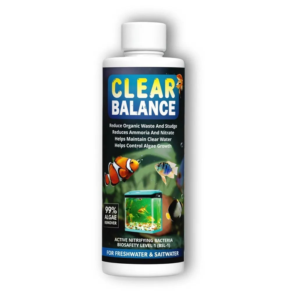 Fish Tank Algae Remover | Pond Algaecide & Moss Cleaner | Removes Green Algae, Improves Water Clarity & Maintains Healthy Aquarium