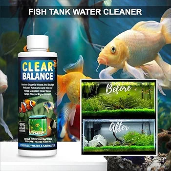 Fish Tank Algae Remover | Pond Algaecide & Moss Cleaner | Removes Green Algae, Improves Water Clarity & Maintains Healthy Aquarium