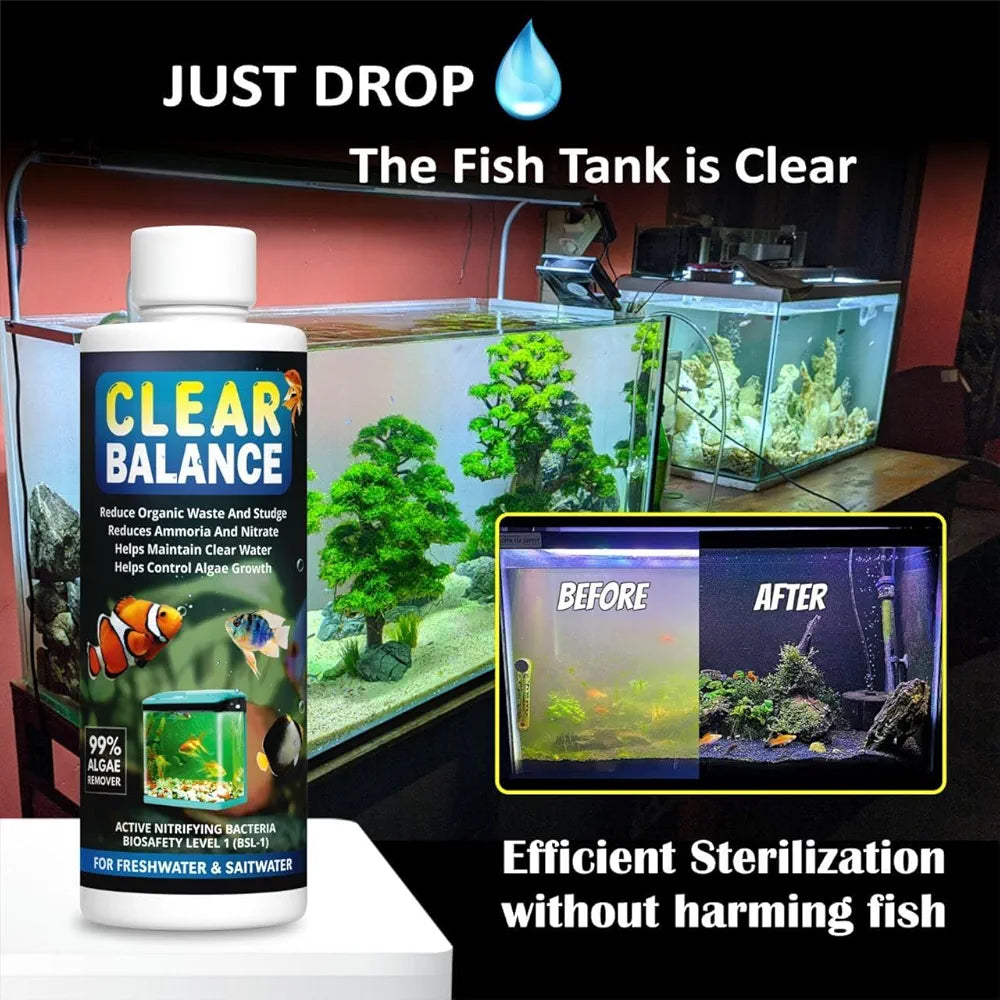 Fish Tank Algae Remover | Pond Algaecide & Moss Cleaner | Removes Green Algae, Improves Water Clarity & Maintains Healthy Aquarium