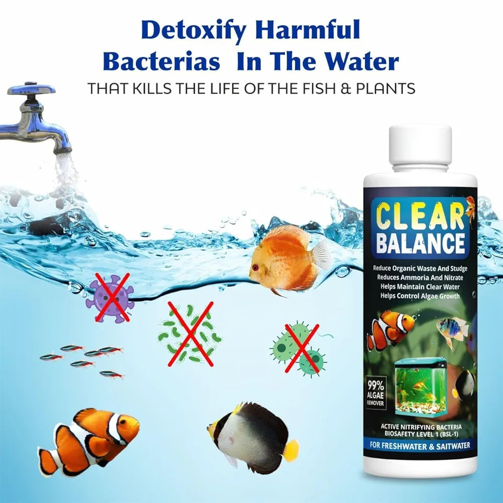 Fish Tank Algae Remover | Pond Algaecide & Moss Cleaner | Removes Green Algae, Improves Water Clarity & Maintains Healthy Aquarium